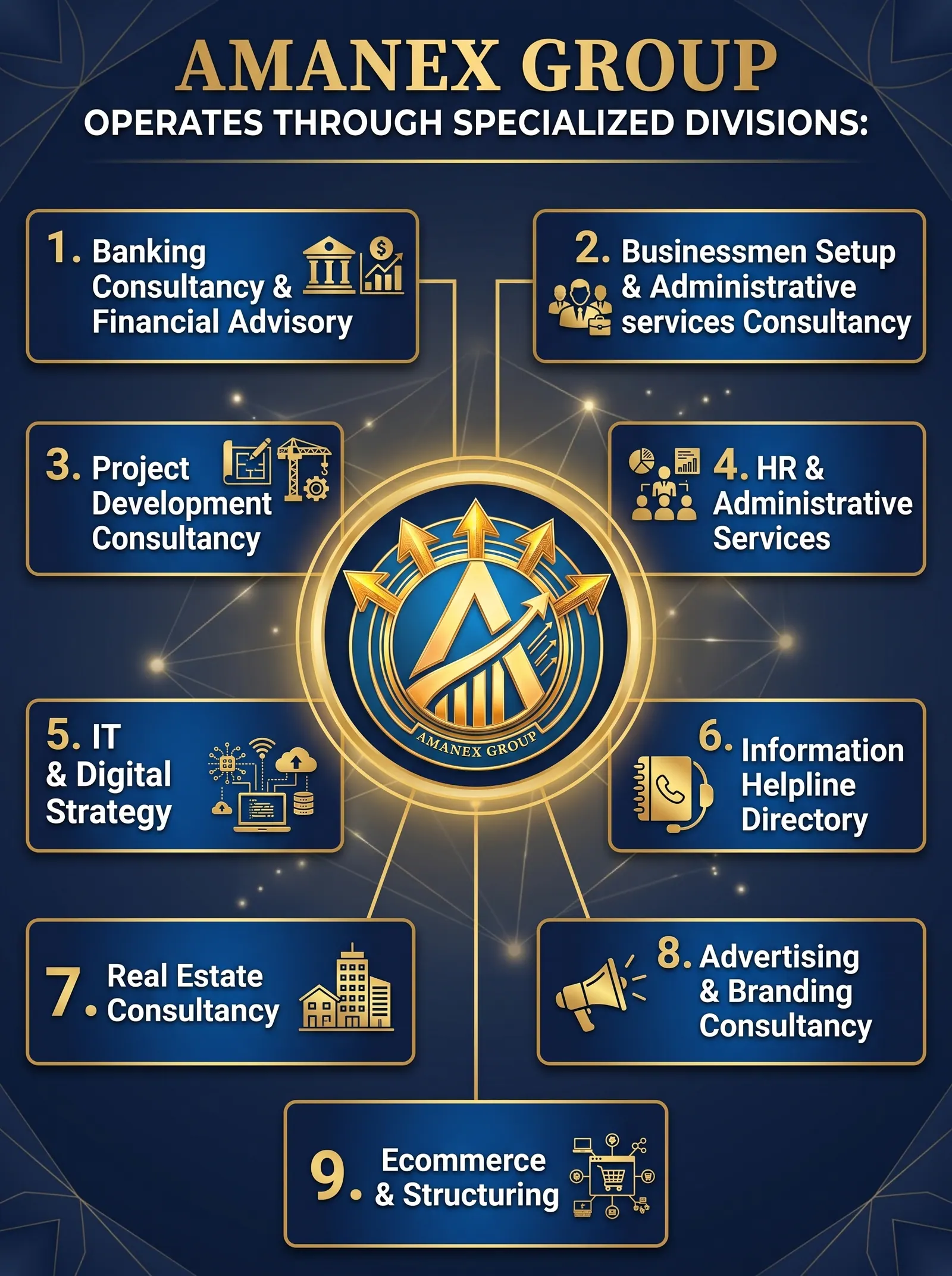 Amanex Group specialized consultancy divisions